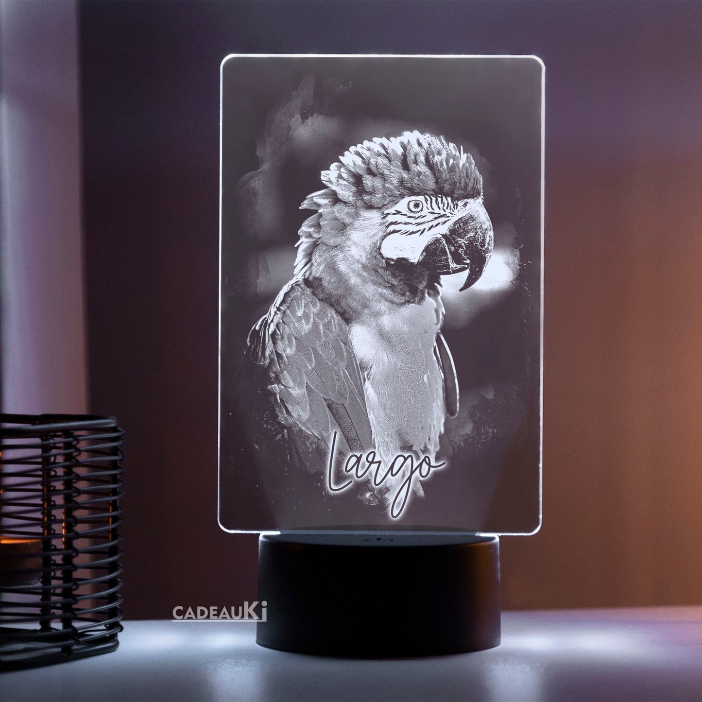 LED Lampe mit Foto für Vogelliebhaber 