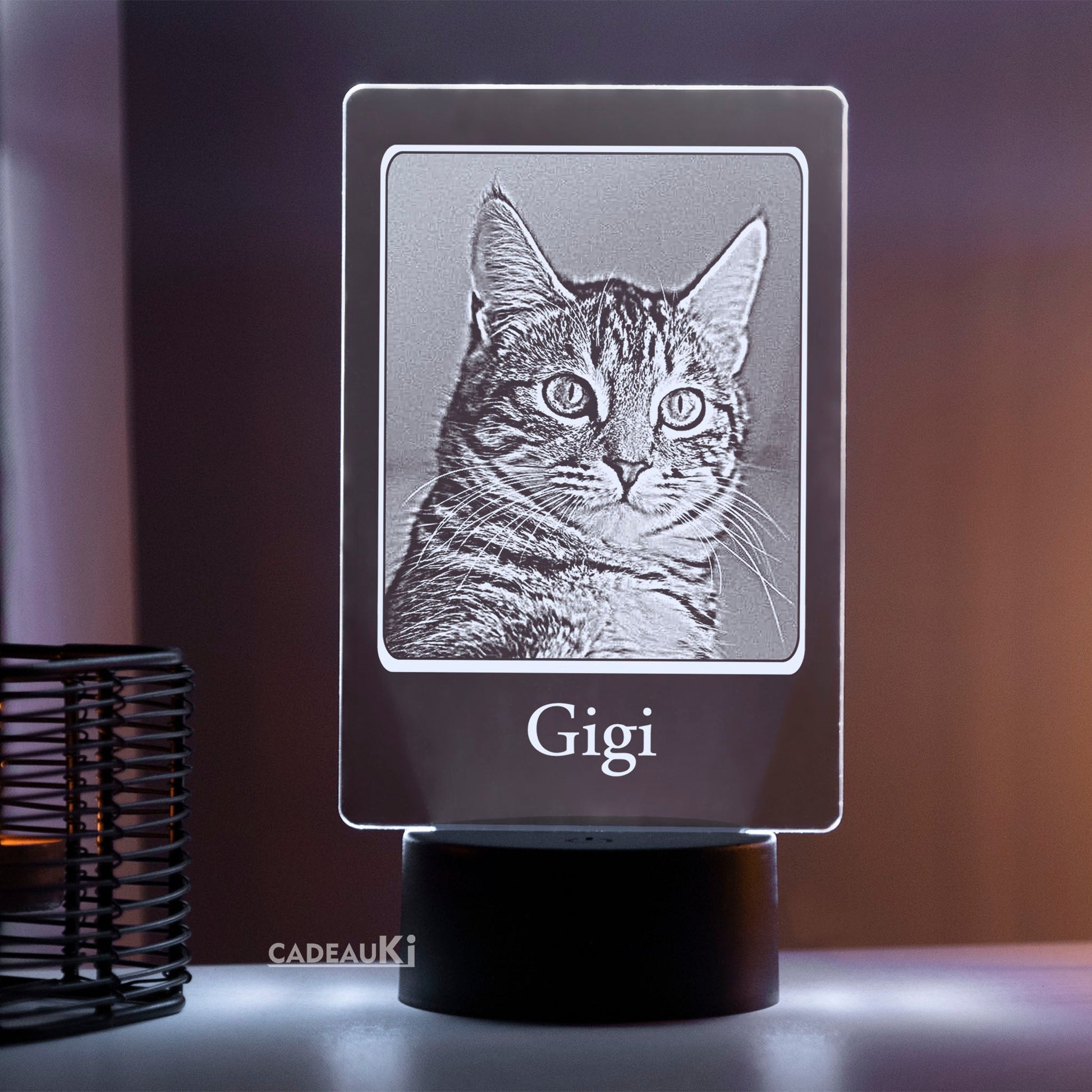 Personalisierte 3D LED-Fotolampe mit Katzenfoto