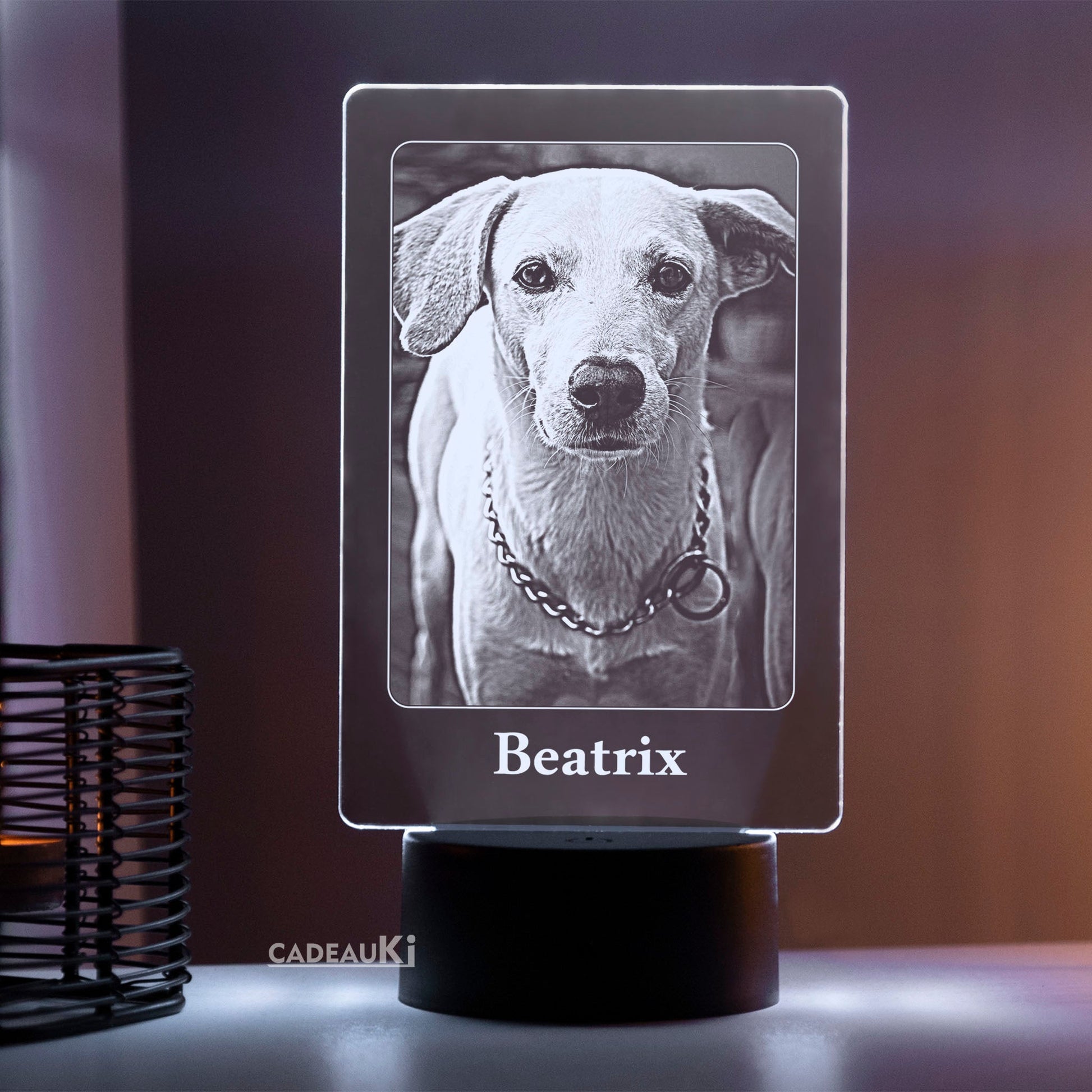 Personalisierte Hundefoto-LED-Lampe mit Namen „Beatrix“ in kühlem Weißlicht