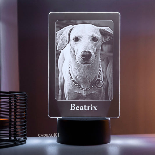 Personalisierte Hundefoto-LED-Lampe mit Namen „Beatrix“ in kühlem Weißlicht