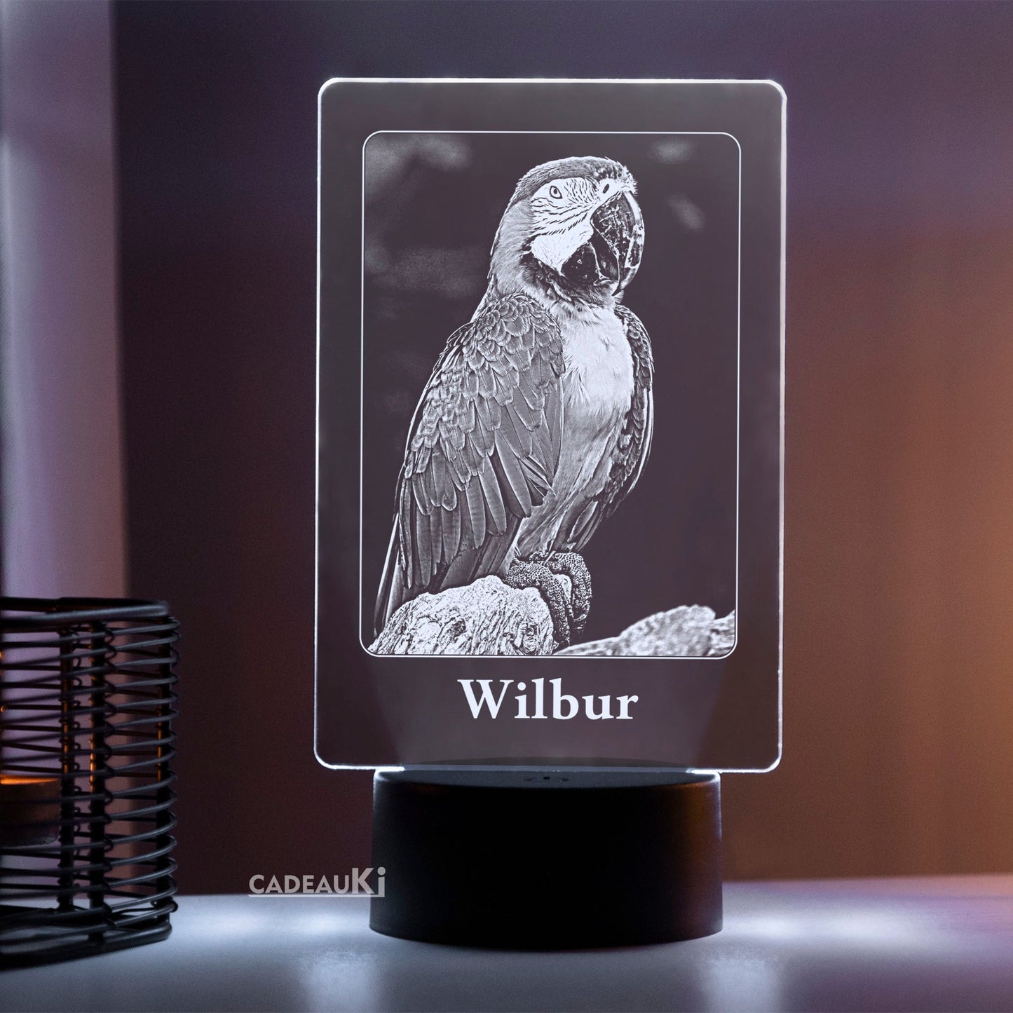 Personalisierte Vogel LED Fotolampe