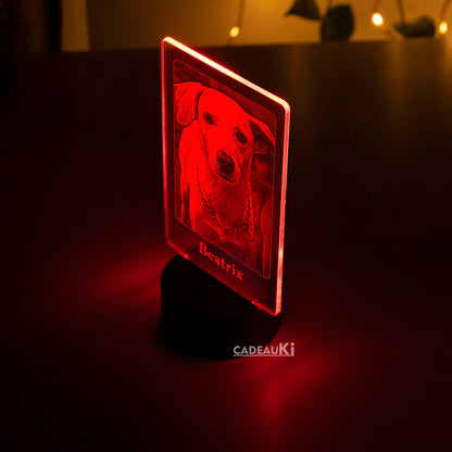 Rote Stimmungsbeleuchtung in LED-Lampe mit eingraviertem Hund „Beatrix“.