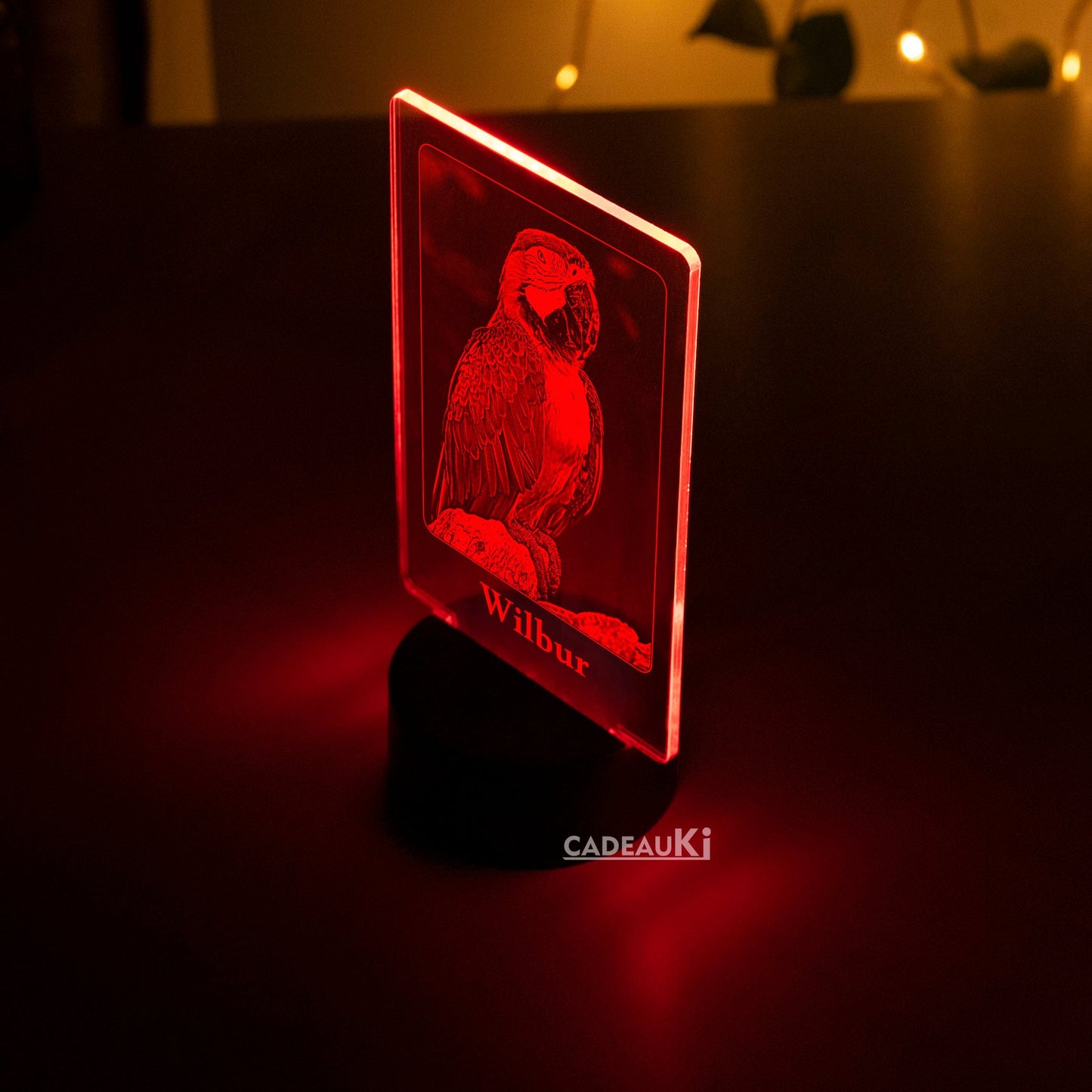 LED Lampe mit Foto für Vogelliebhaber