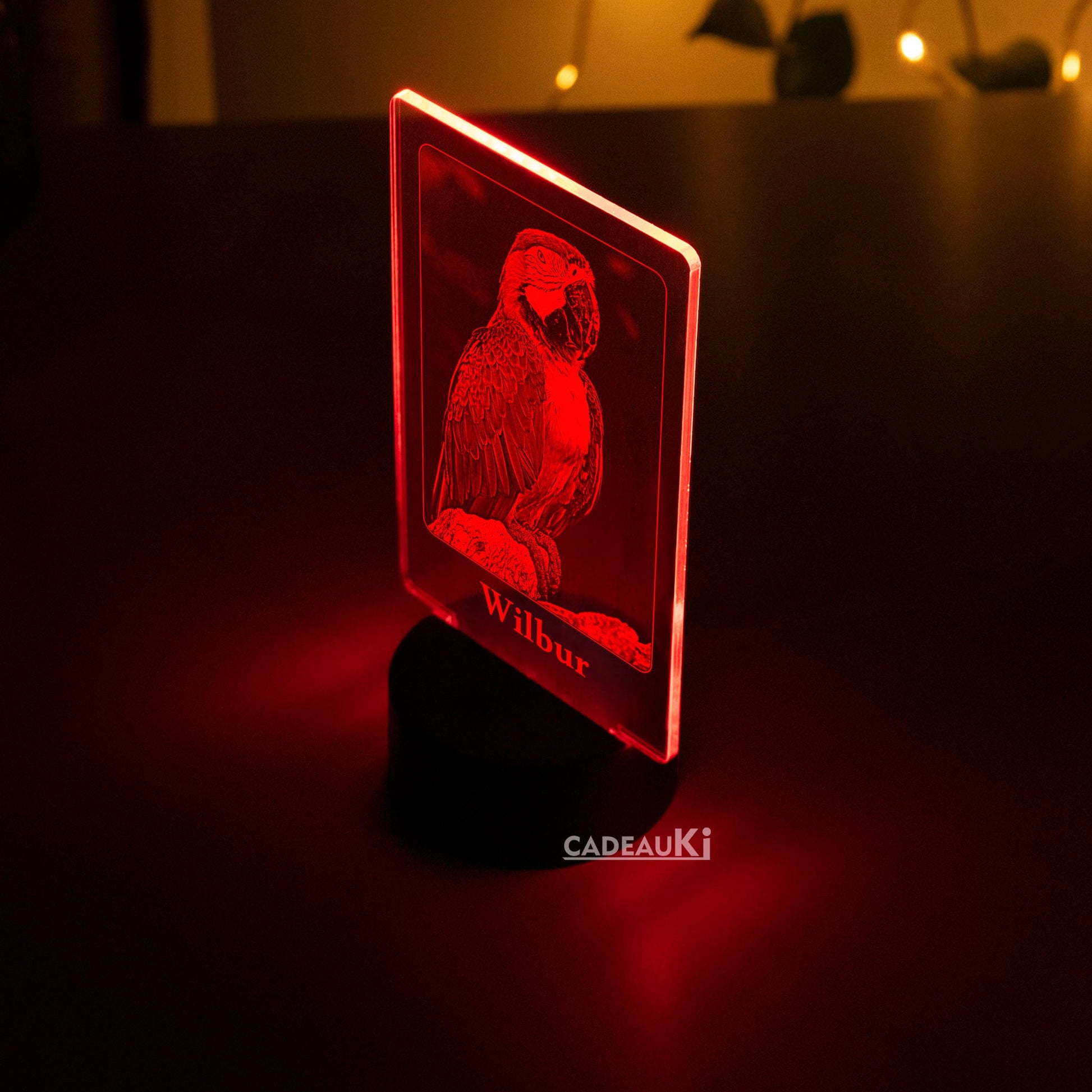 LED Lampe mit Foto für Vogelliebhaber