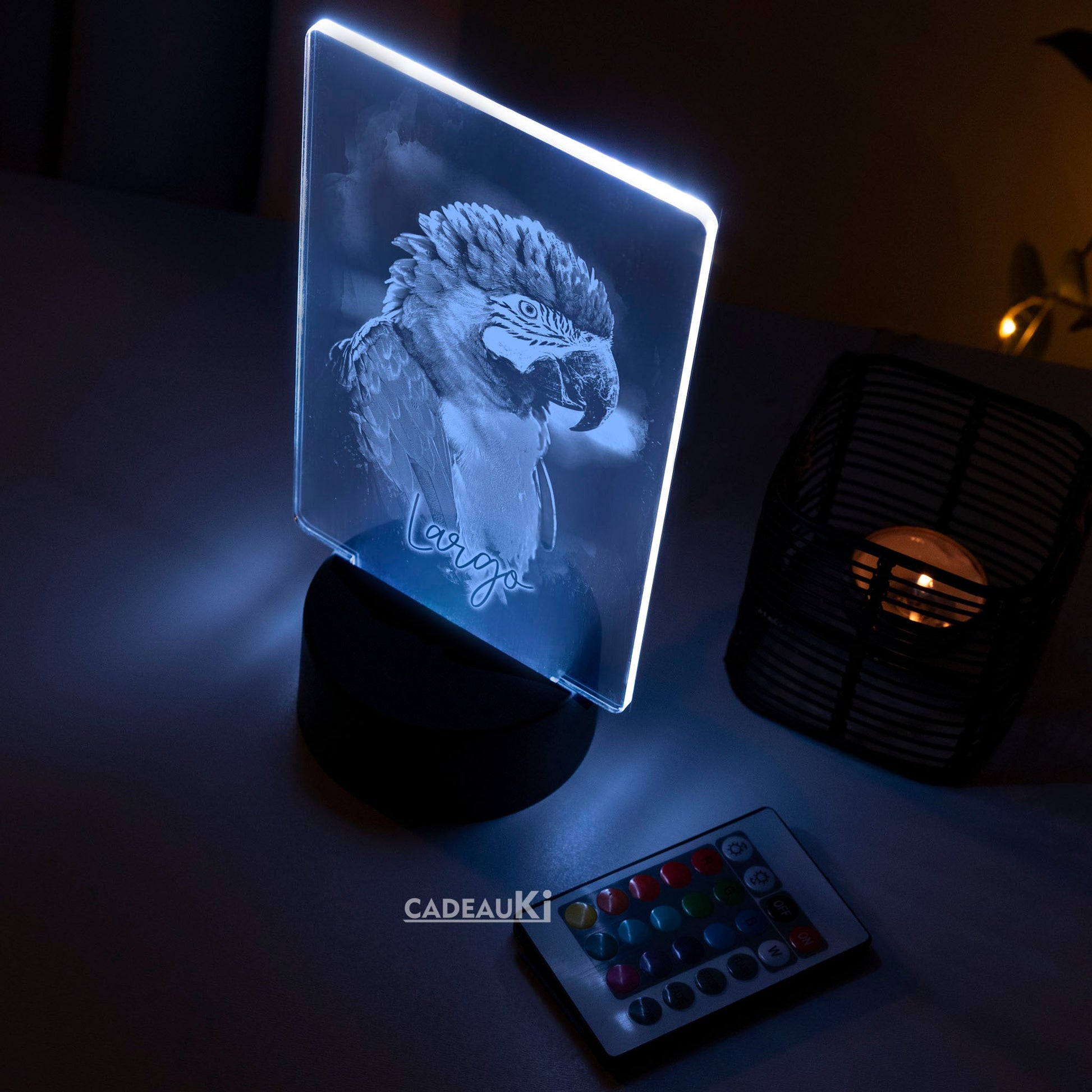 Blau beleuchtete LED-Lampe mit eingraviertem Papagei in einem dunklen Raum.