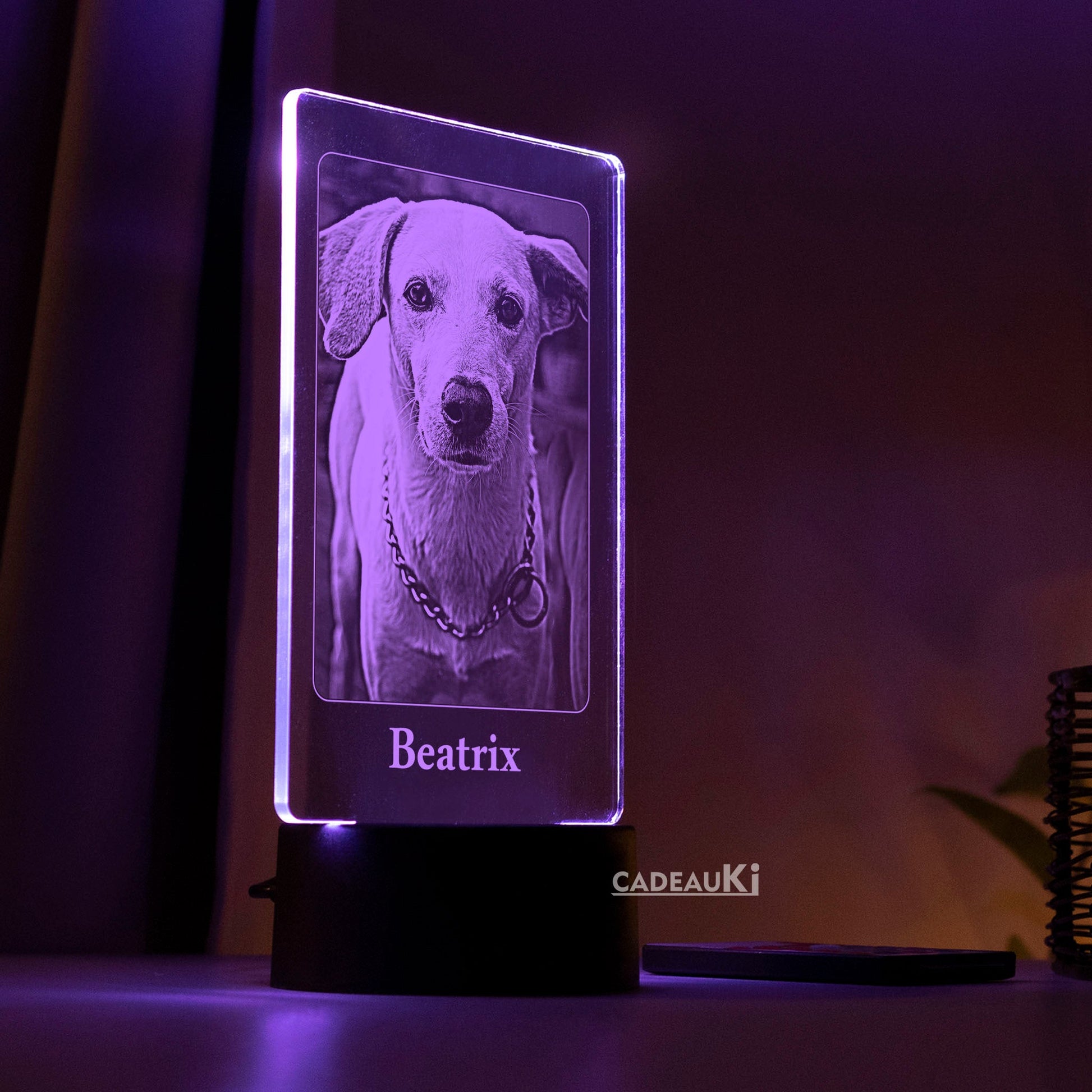 Eine leuchtende LED-Lampe zeigt ein Hundeporträt namens „Beatrix“ vor einem sanft beleuchteten Hintergrund.