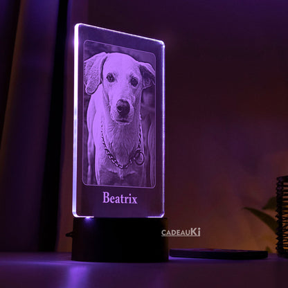 Eine leuchtende LED-Lampe zeigt ein Hundeporträt namens „Beatrix“ vor einem sanft beleuchteten Hintergrund.