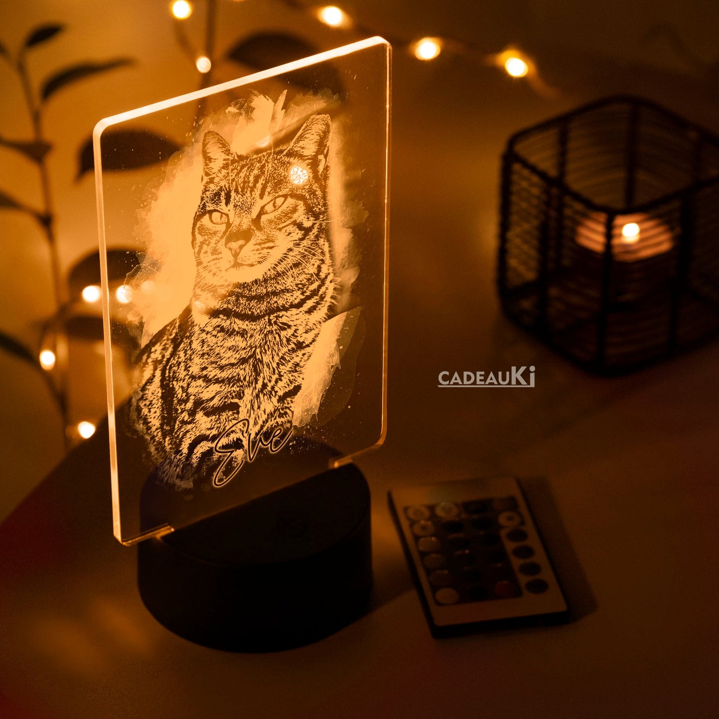 Gravierte Haustier-Lampe mit Namen bei Nacht