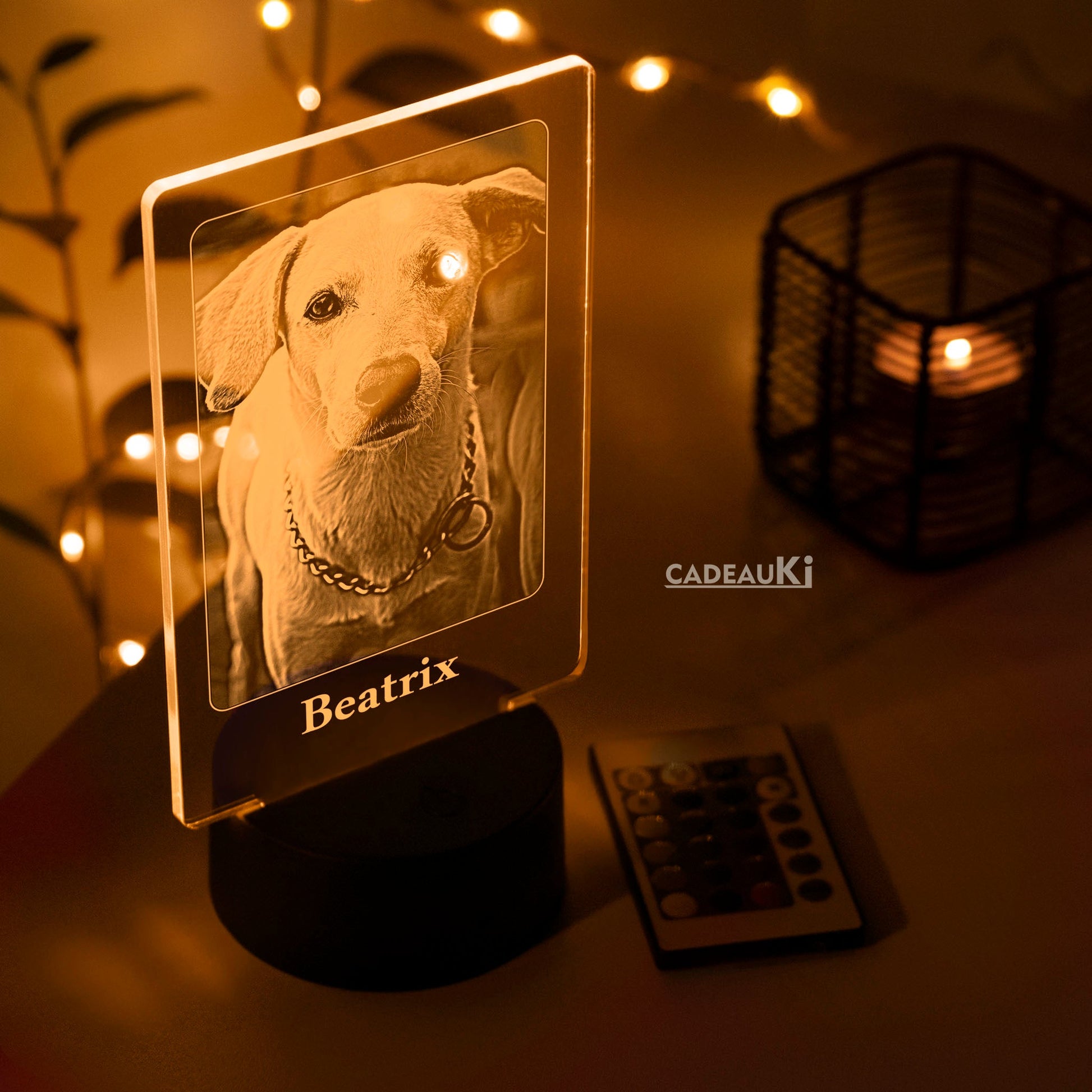 LED-Lampe „Beatrix“ mit graviertem Hundefoto in sanftem violettem Licht. „Gelb beleuchtete LED-Lampe „Beatrix“ mit graviertem Hundefoto