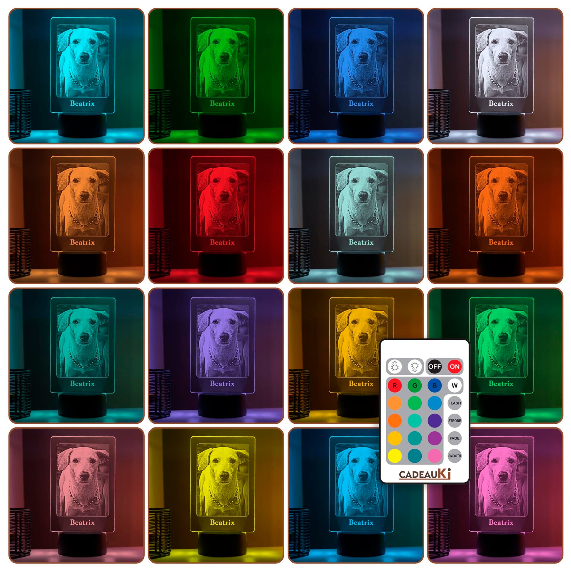 LED-Lampe mit mehrfarbigen Beleuchtungsmöglichkeiten und eingraviertem Foto von Hund „Beatrix“